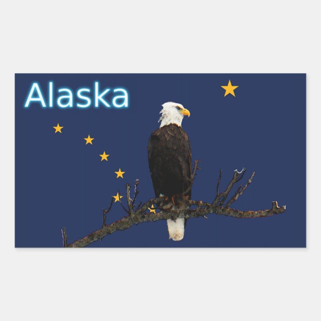 Adesivo Retangular Alaska Eagle E Flag (Frente)