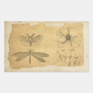 Adesivo Retangular Álbum de recortes da colagem do pergaminho do