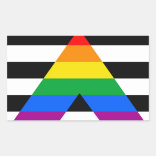 Adesivo Retangular Ally Pride Flag