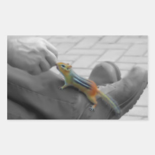 Adesivo Retangular Almoço do chipset