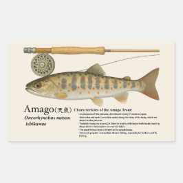 Adesivo Retangular Amago (Oncorhynchus masou ishikawae) – English