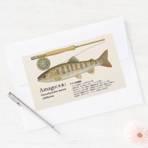 Adesivo Retangular Amago (Oncorhynchus masou ishikawae) – Japonês