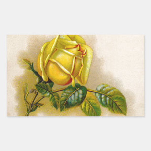 Adesivo Retangular Amarela Rosa Antiga Estampa Vintage Arte Fina