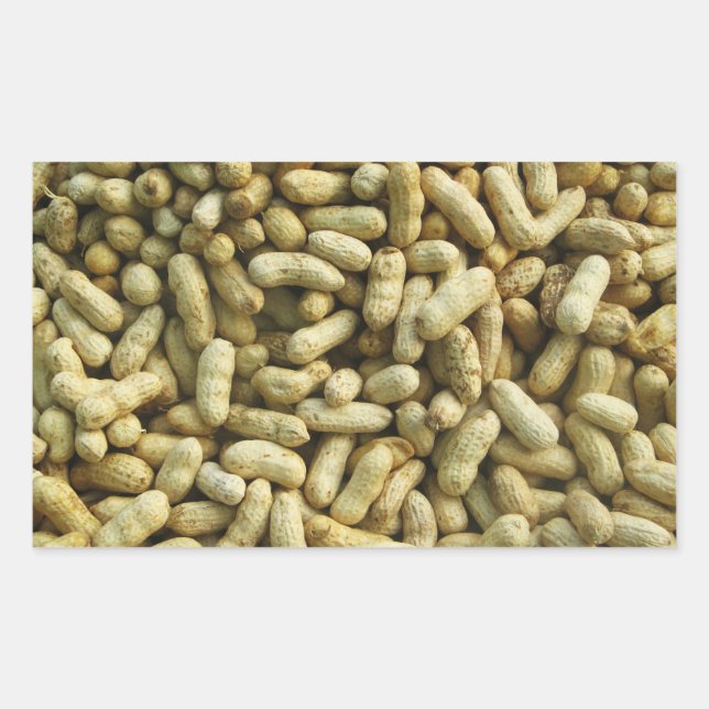 Adesivo Retangular Amendoins (Frente)