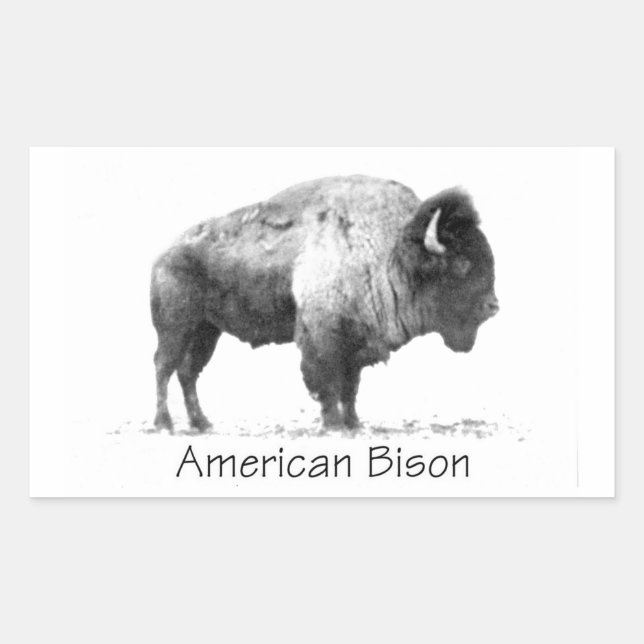 Adesivo Retangular American Bison (Frente)