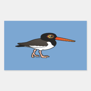 Adesivo Retangular American Oystercatcher