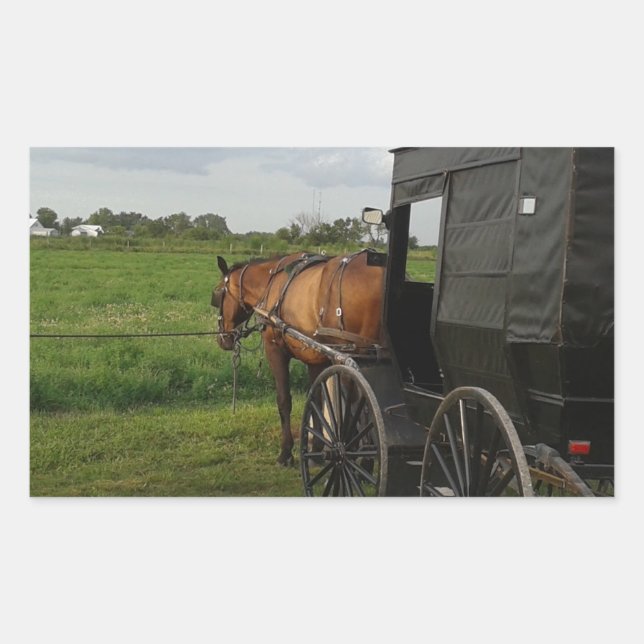 Adesivo Retangular Amish Horse e Buggy no Sunset (Frente)