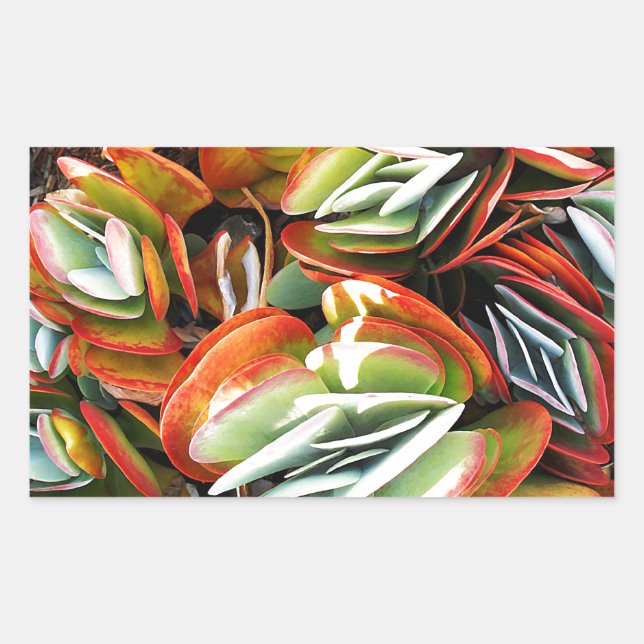 Adesivo Retangular Amor_ (Frente)