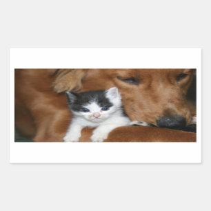 Adesivo Retangular Amor de filhote de cachorro