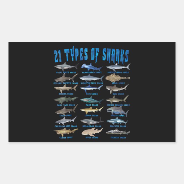 Adesivo Retangular Anéis De Tubarões 21 Tipos De Tubarões Oceanos (Frente)