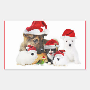 Adesivo Retangular Animais