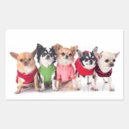 Adesivo Retangular Animais de Corte