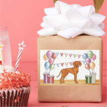 Aniversário do Cão Vizsla Húngaro com Cores Pastel