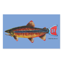 Apache Trout Mug