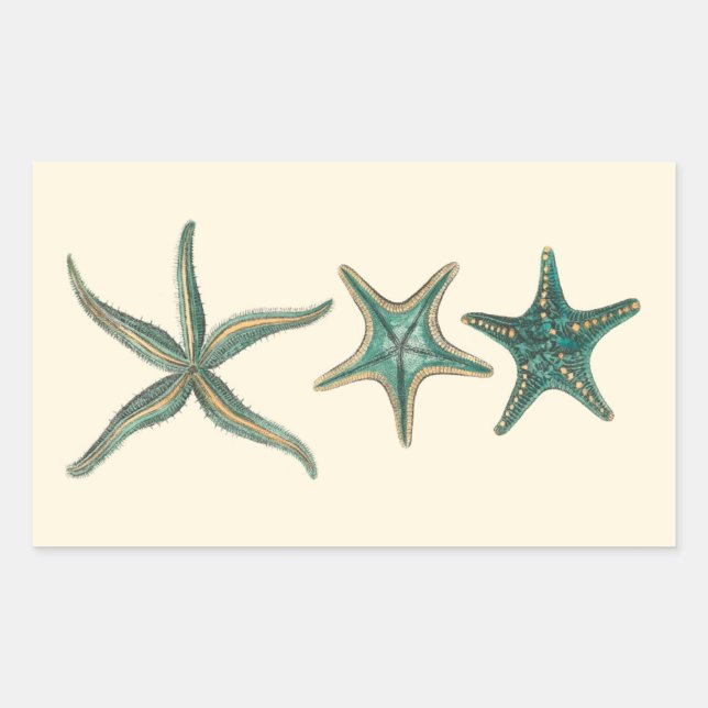 Adesivo Retangular Aquamarine Triple Starfish (Frente)