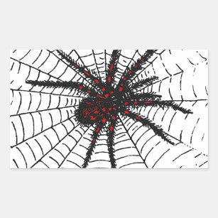 Adesivo Retangular Aranha Negra Venomosa Aranha Assustadora Arte Seca