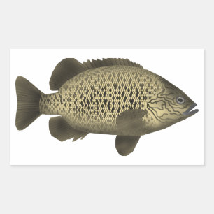 Adesivo Retangular Arrastão de Carvão