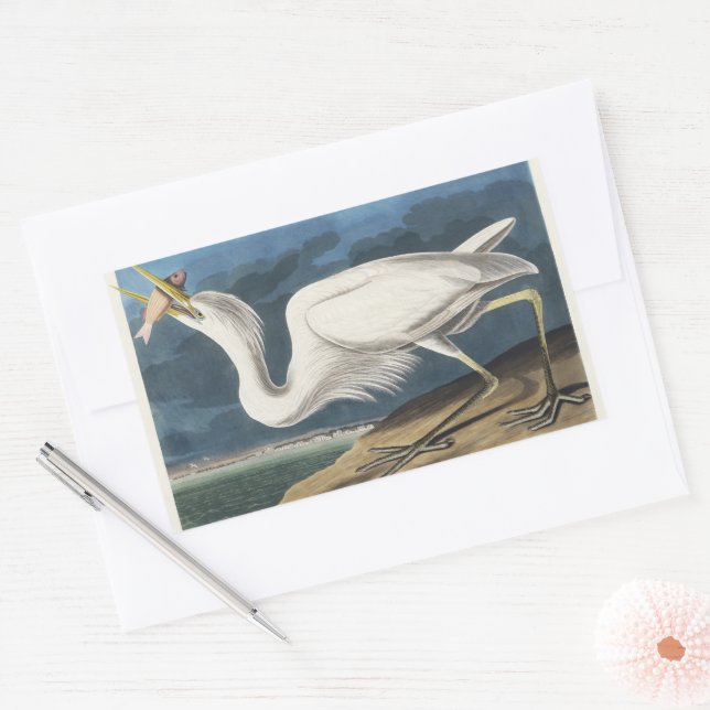 Adesivo Retangular Arte de Pássaros do Grande Garça Branca Vintage Au (Envelope)