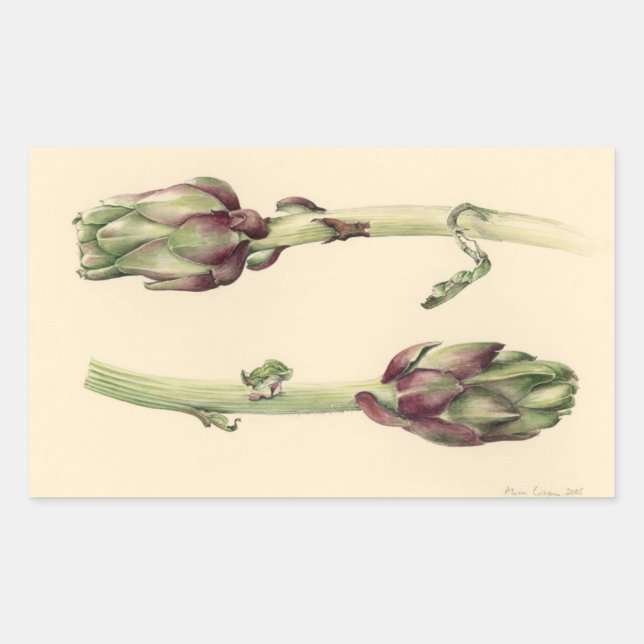 Adesivo Retangular Artichokes 2005 (Frente)
