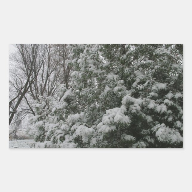 Adesivo Retangular Árvore de pinheiro Wonderland de inverno com queda (Frente)
