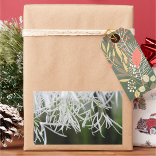 Adesivo Retangular Árvore serpente (Chionanthus virginicus)