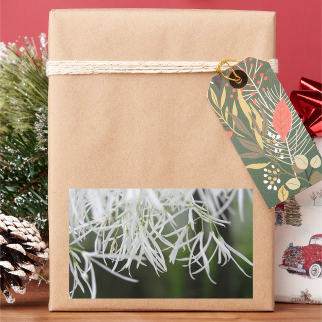 Adesivo Retangular Árvore serpente (Chionanthus virginicus) (Feriado)