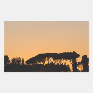 Adesivo Retangular Árvores ao pôr do sol sob a luz de trás em Roma