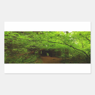 Adesivo Retangular Árvores de Maple na Floresta Sequoia