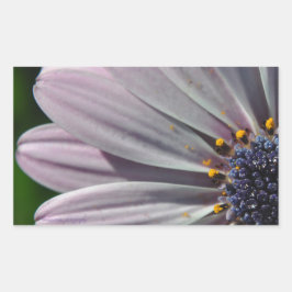 Adesivo Retangular As Flores Dentro