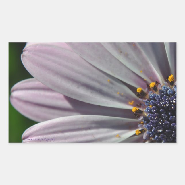 Adesivo Retangular As Flores Dentro (Frente)