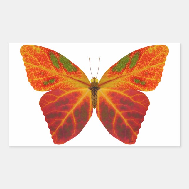 Adesivo Retangular Aspen Leaf Butterfly 2 (Frente)