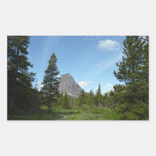 Adesivo Retangular Aster Park Trail no Glacier National Park