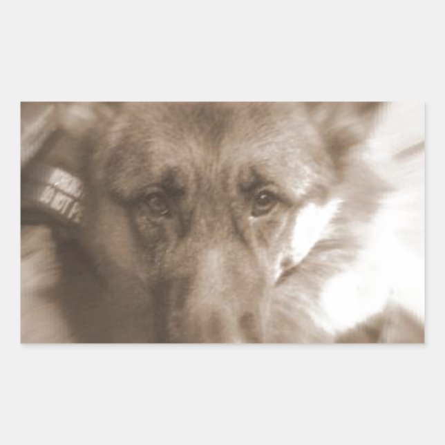 Adesivo Retangular Atlas o Cão-Maravilha (Frente)