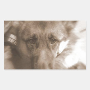 Adesivo Retangular Atlas o Wonderdog