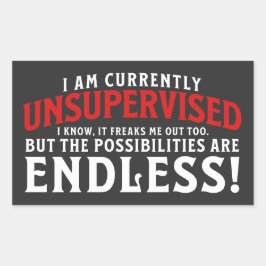 Adesivo Retangular Atualmente, Não Estou Sob Supervisão