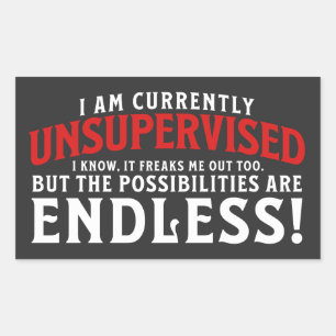Adesivo Retangular Atualmente, Não Estou Sob Supervisão