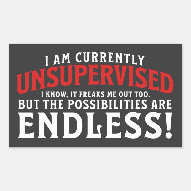 Adesivo Retangular Atualmente, Não Estou Sob Supervisão (Frente)