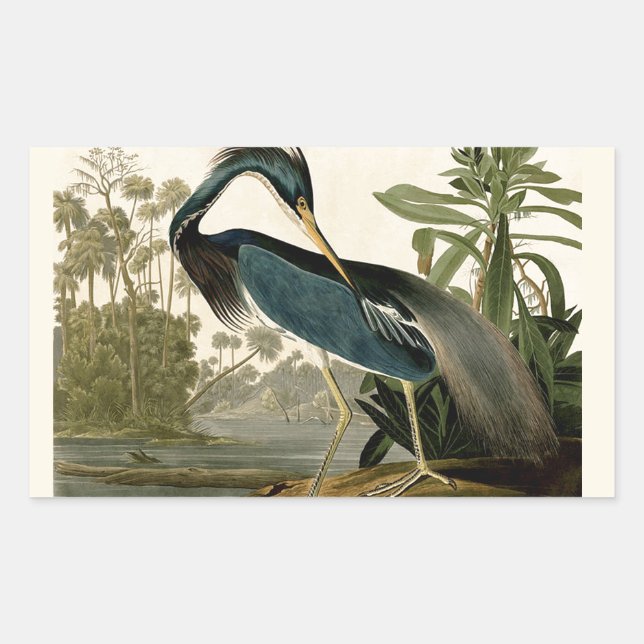 Adesivo Retangular Audubon Louisiana Heron Birds América Art (Frente)