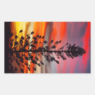 Adesivo Retangular Autocolante de silhueta de Emu Park