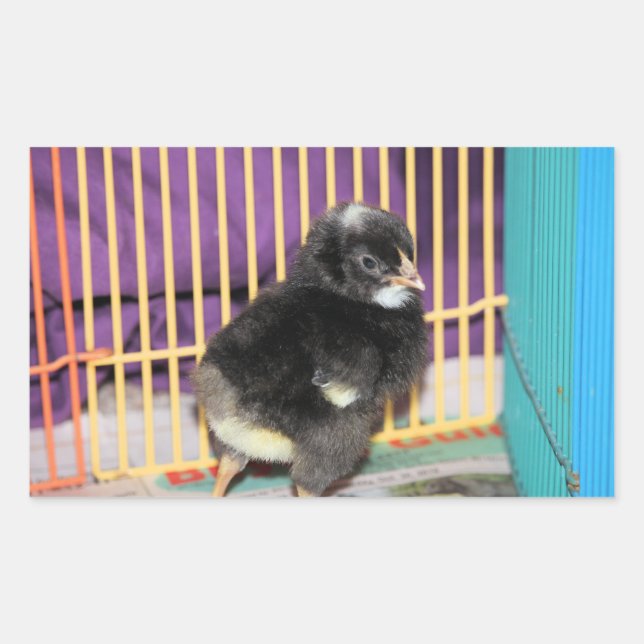 Adesivo Retangular Autocolante Pular Quadrado (Frente)