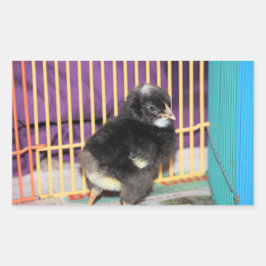 Adesivo Retangular Autocolante Pular Quadrado