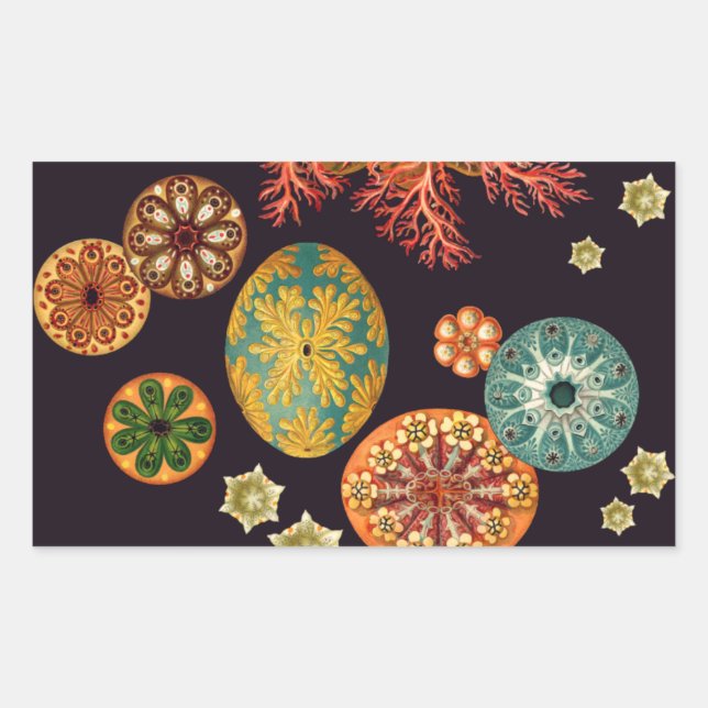 Adesivo Retangular Autocolantes de Escamas-do-mar (Frente)