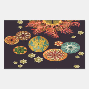 Adesivo Retangular Autocolantes de Escamas-do-mar