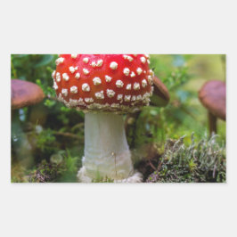 Adesivo Retangular Autumn Beauty