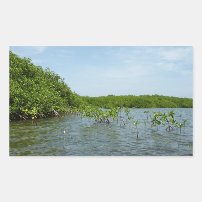 Adesivo Retangular Baby Mangrove Trees no Caribe (Frente)