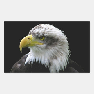 Adesivo Retangular Bald Eagle
