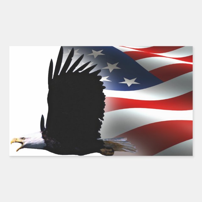 Adesivo Retangular Bald Eagle voa no Memorial da Bandeira (Frente)