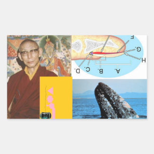 Adesivo Retangular Baleia no prego