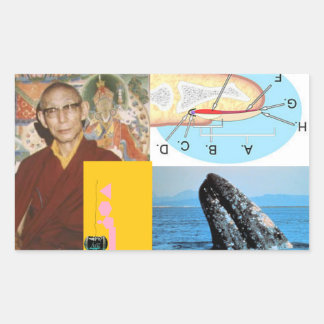 Adesivo Retangular Baleia no prego