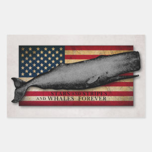 Adesivo Retangular Baleia patriótica do vintage e de bandeira dos